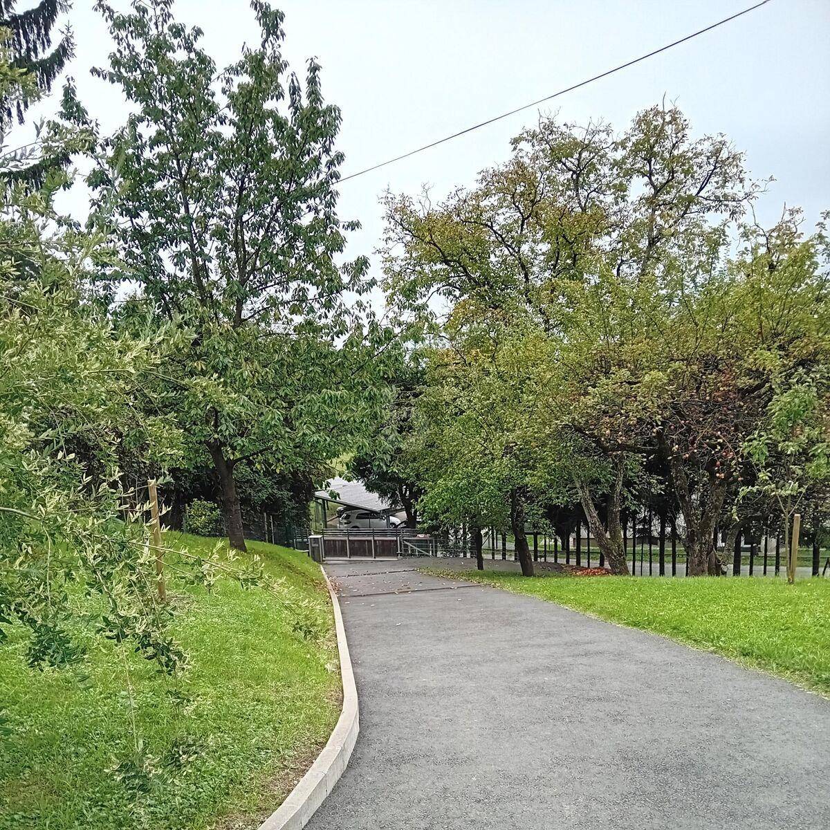 Slide 4
