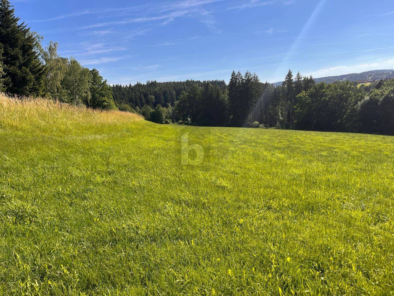 Sonnige, weitläufige Grünfläche mit Waldrand und sanften Hügeln in der Ferne unter klarem Himmel.