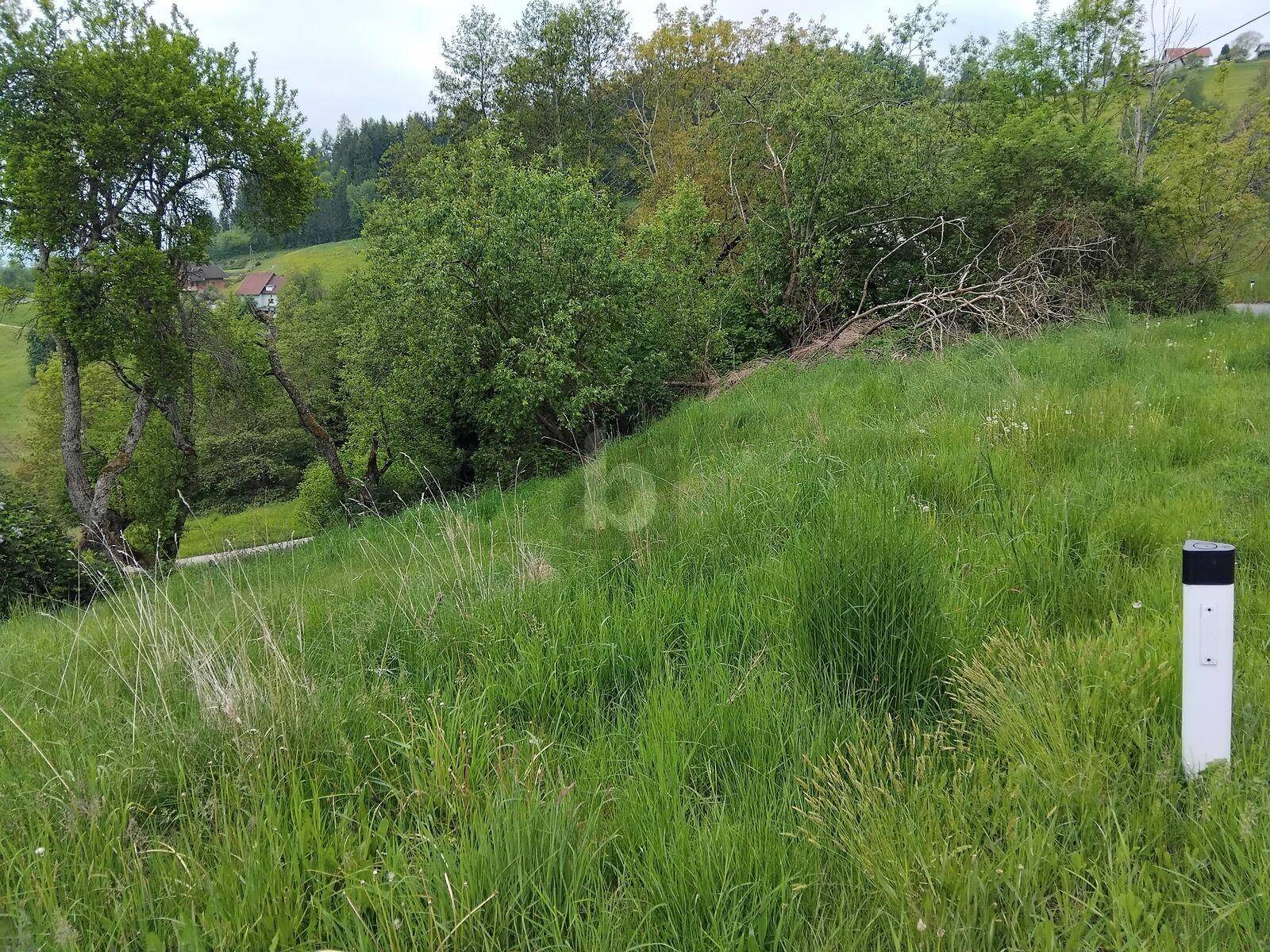 Unbebautes Grundstück mit üppiger Vegetation und einer Straße, umgeben von einer natürlichen Landschaft.