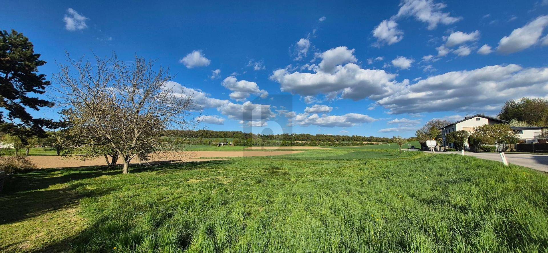 SELTENE CHANCE: 886 M² BAUGRUND MIT SÜDAUSRICHTUNG ? AUFSCHLIEßUNG BEREITS BEZAHLT! - Ansicht 4