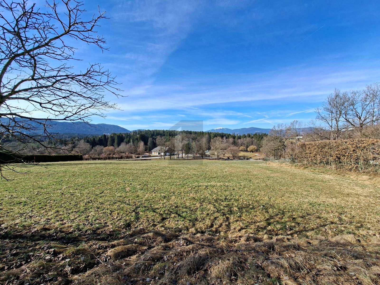 PREISREDUKTION TRAUMHAFTE LAGE AM MALTSCHACHERSEE - View 2