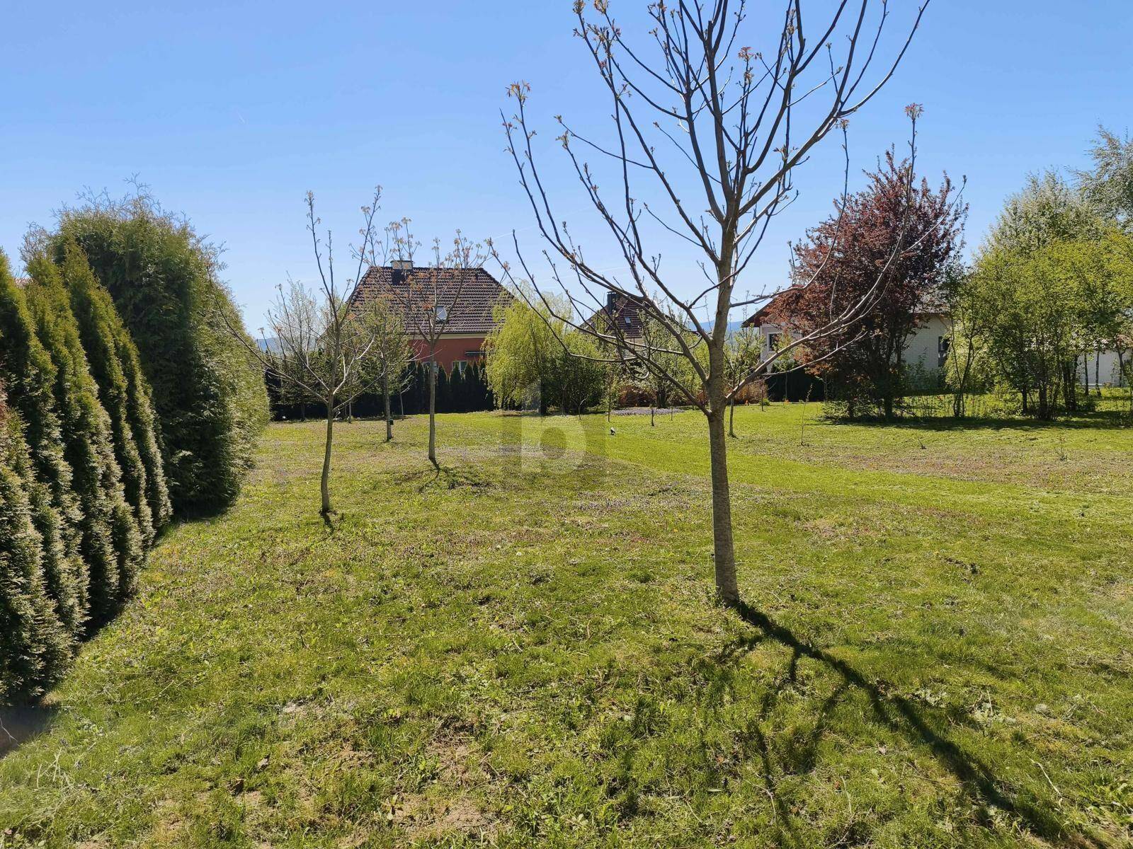 Grüne Rasenfläche mit jungen Bäumen und einer hohen Hecke, im Hintergrund sind Häuser zu sehen.