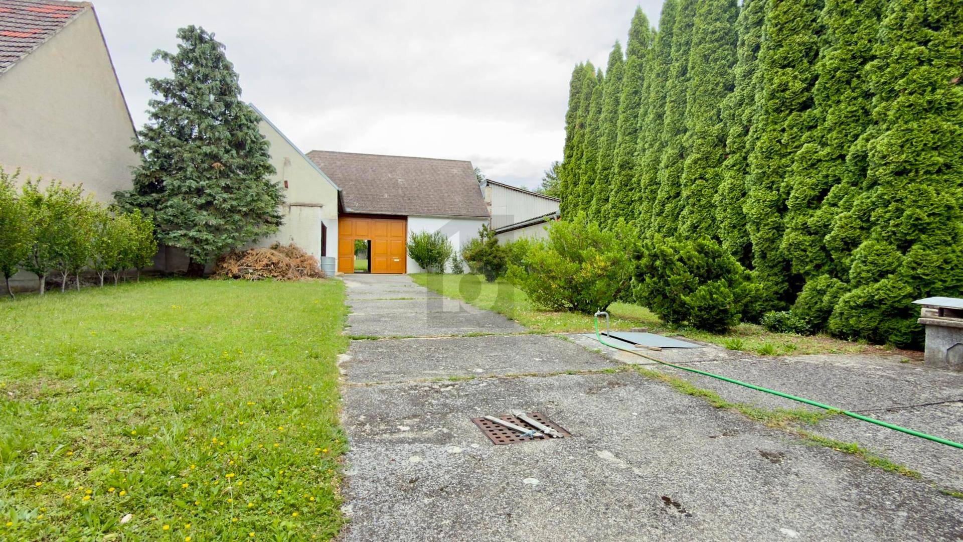 Großer Gartenbereich mit Rasenfläche, hohen Hecken und einem Nebengebäude im Hintergrund.