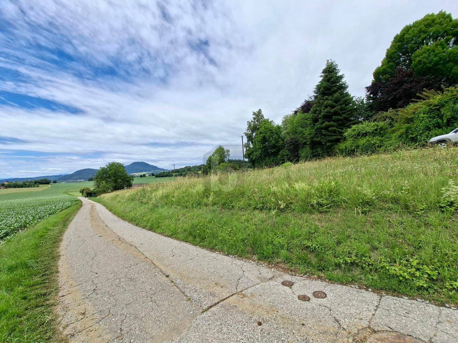 Schotterweg führt durch grüne Wiesen und Felder mit bewaldeten Hügeln im Hintergrund.