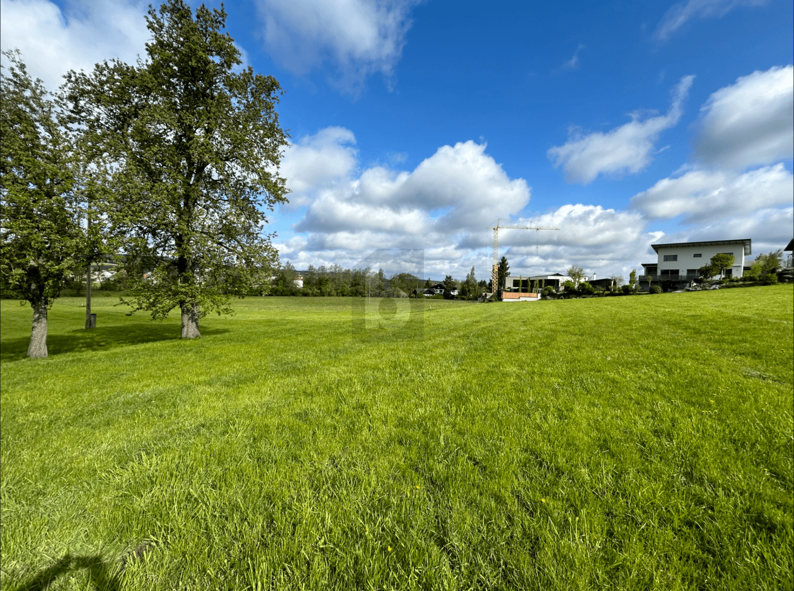Offenes grünes Feld mit Bäumen, Häusern und einem Baukran am Horizont unter blauem Himmel.