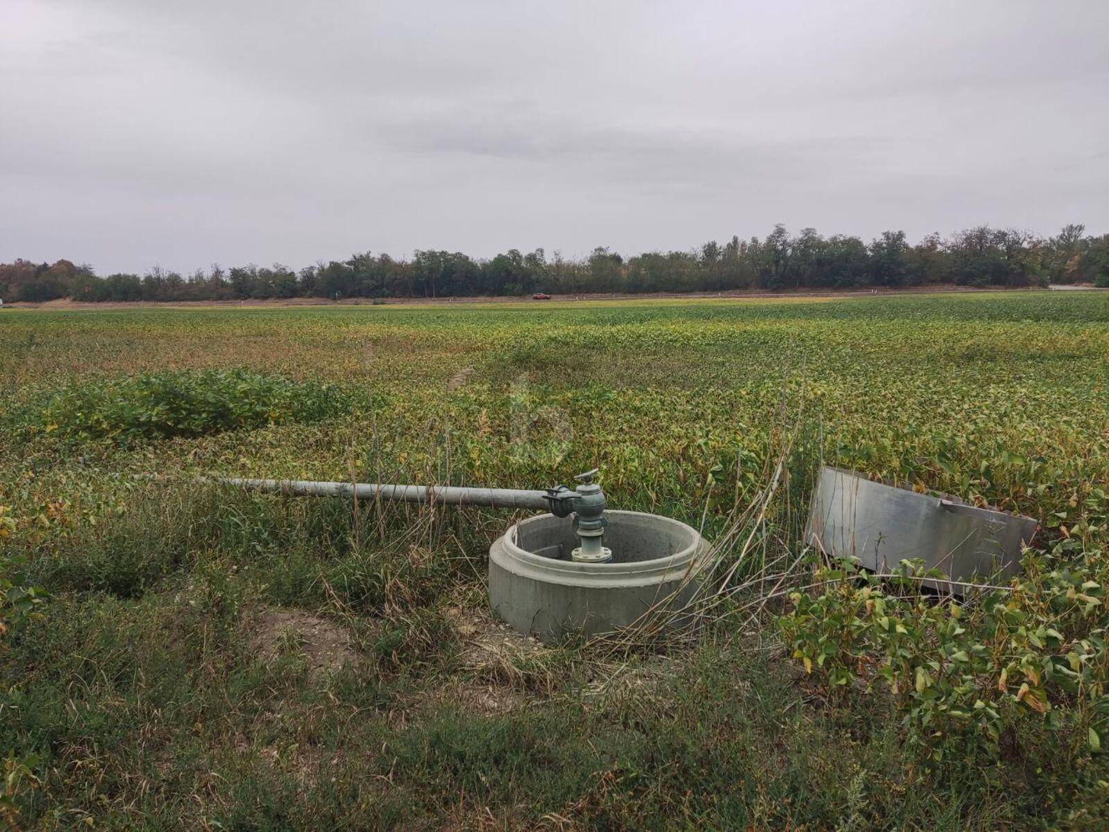Ackerland mit einer sichtbaren Bewässerungsanlage und einem Rohr, das in den Boden führt, umgeben von Vegetation.