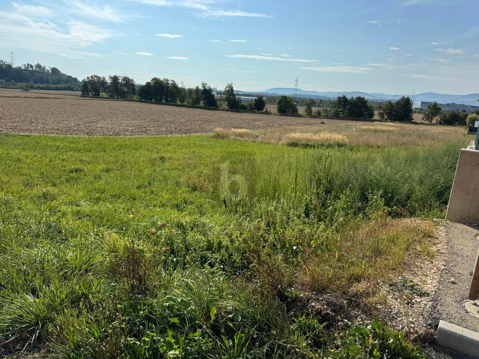 Weitläufige Felder und grüne Landschaft unter einem klaren blauen Himmel mit Fernsicht.