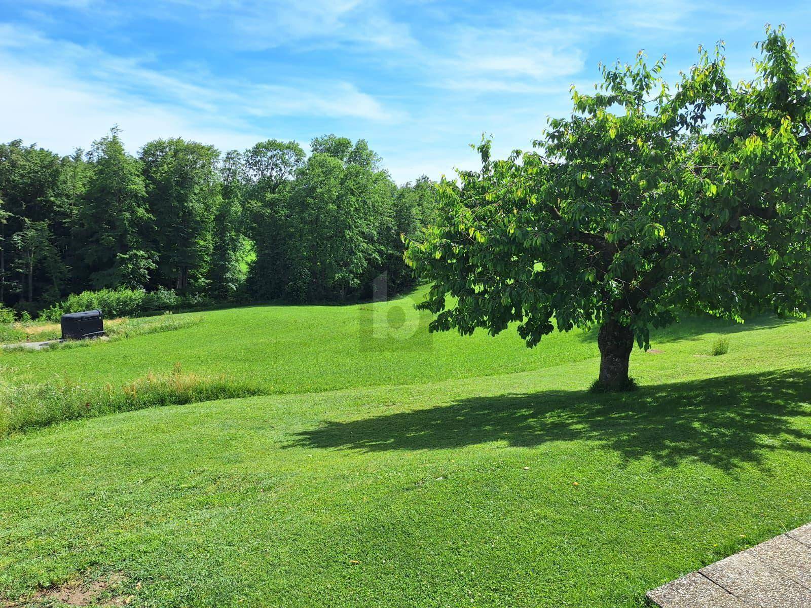 Preisreduktion! SELTENE GELEGENHEIT: BAUGRUND OHNE BAUZWANG ? UNVERBAUBARE AUSSICHT, SONNIGER SÜDHANG &amp; TOP-WERTANLAGE - Ansicht 5