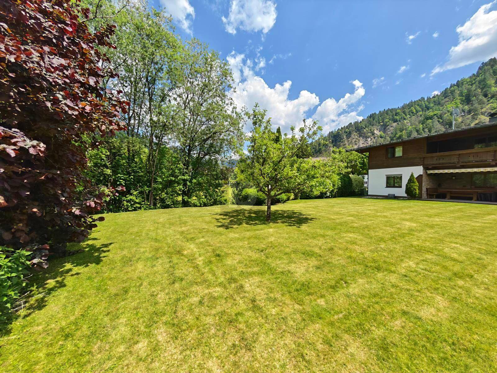 Idyllischer Gartenbereich mit jungem Obstbaum, umgeben von üppigem Grün und einer malerischen Bergkulisse.