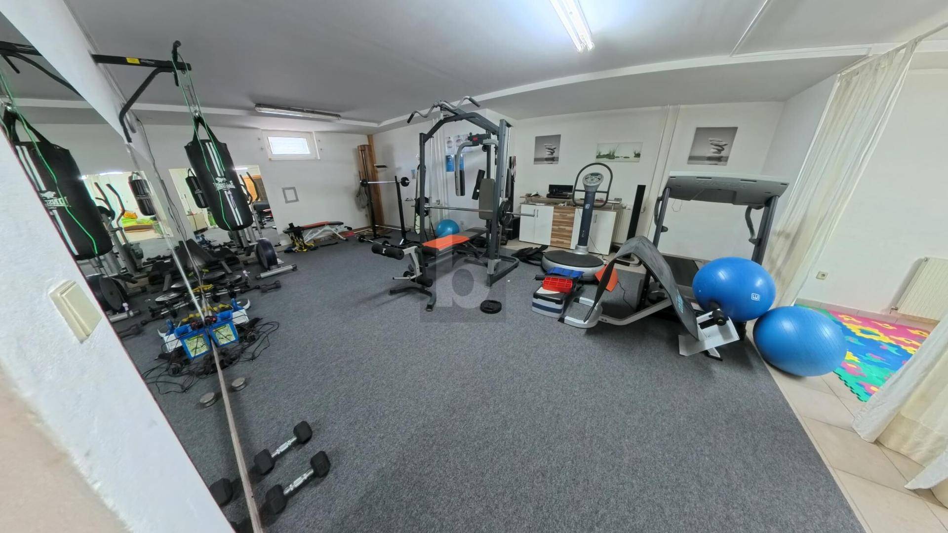 Geräumiger Fitnessraum im Haus mit verschiedenen Trainingsgeräten und Spiegelflächen.