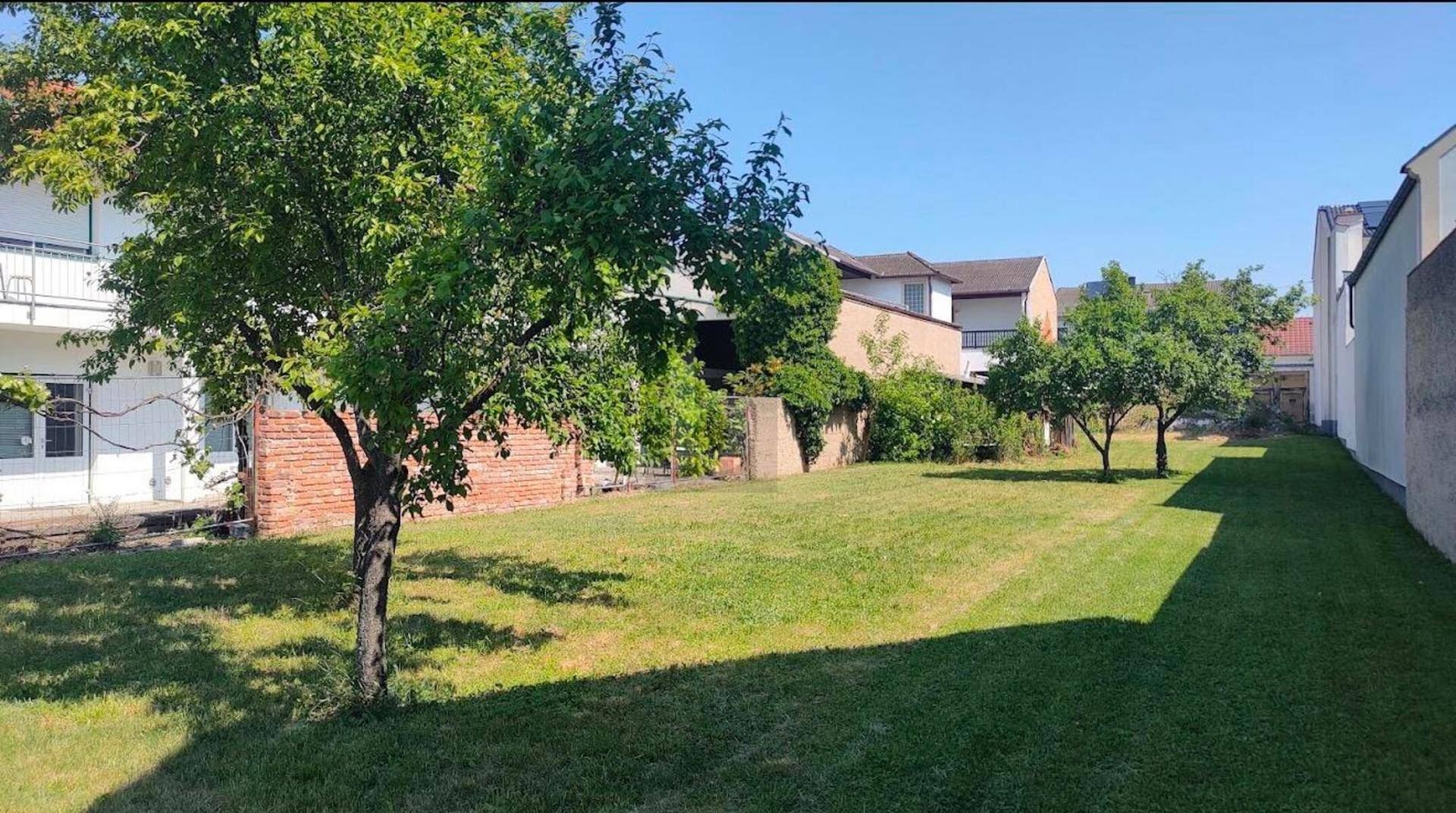 Sonniger Garten mit Rasen und Bäumen, umgeben von Wohngebäuden in ländlicher Umgebung.