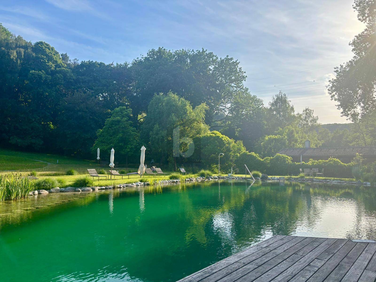 Natürlicher Schwimmteich mit Holzsteg, umgeben von üppiger Vegetation und Liegeflächen.