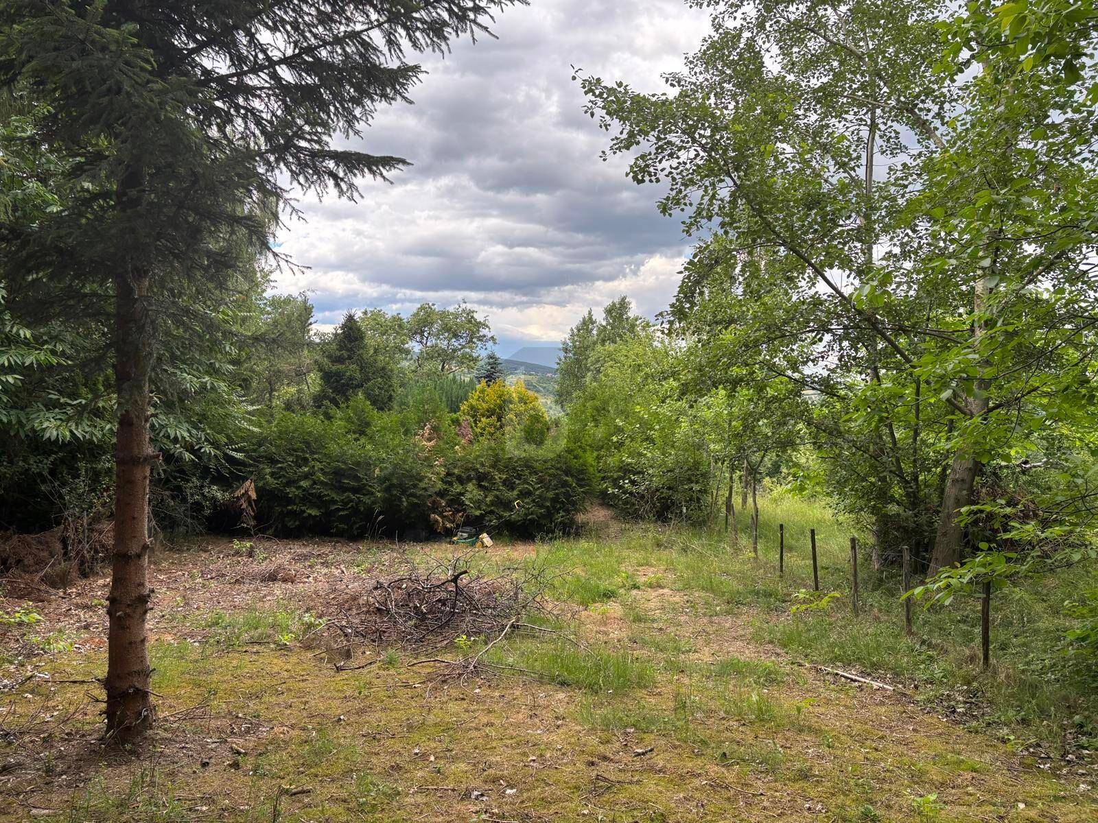 Offene Grünfläche umgeben von Bäumen und Sträuchern mit weitem Blick auf die umliegende Landschaft.