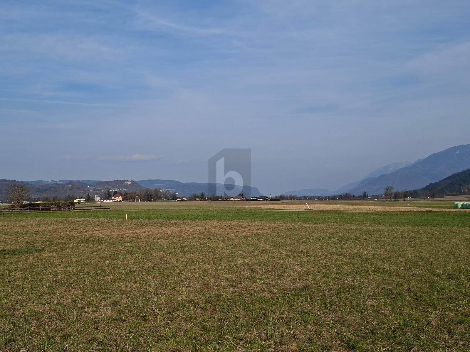 Ausgedehntes Feld mit weitem Horizont und einer beeindruckenden Bergkulisse in der Ferne.