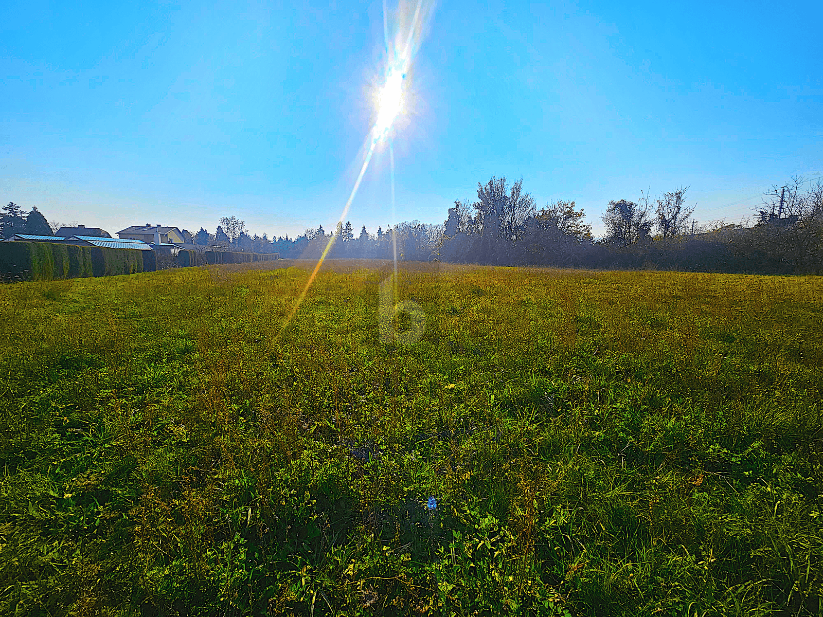 Sonniges grünes Feld mit weitem Blick und Häusern im Hintergrund unter strahlendem Himmel.