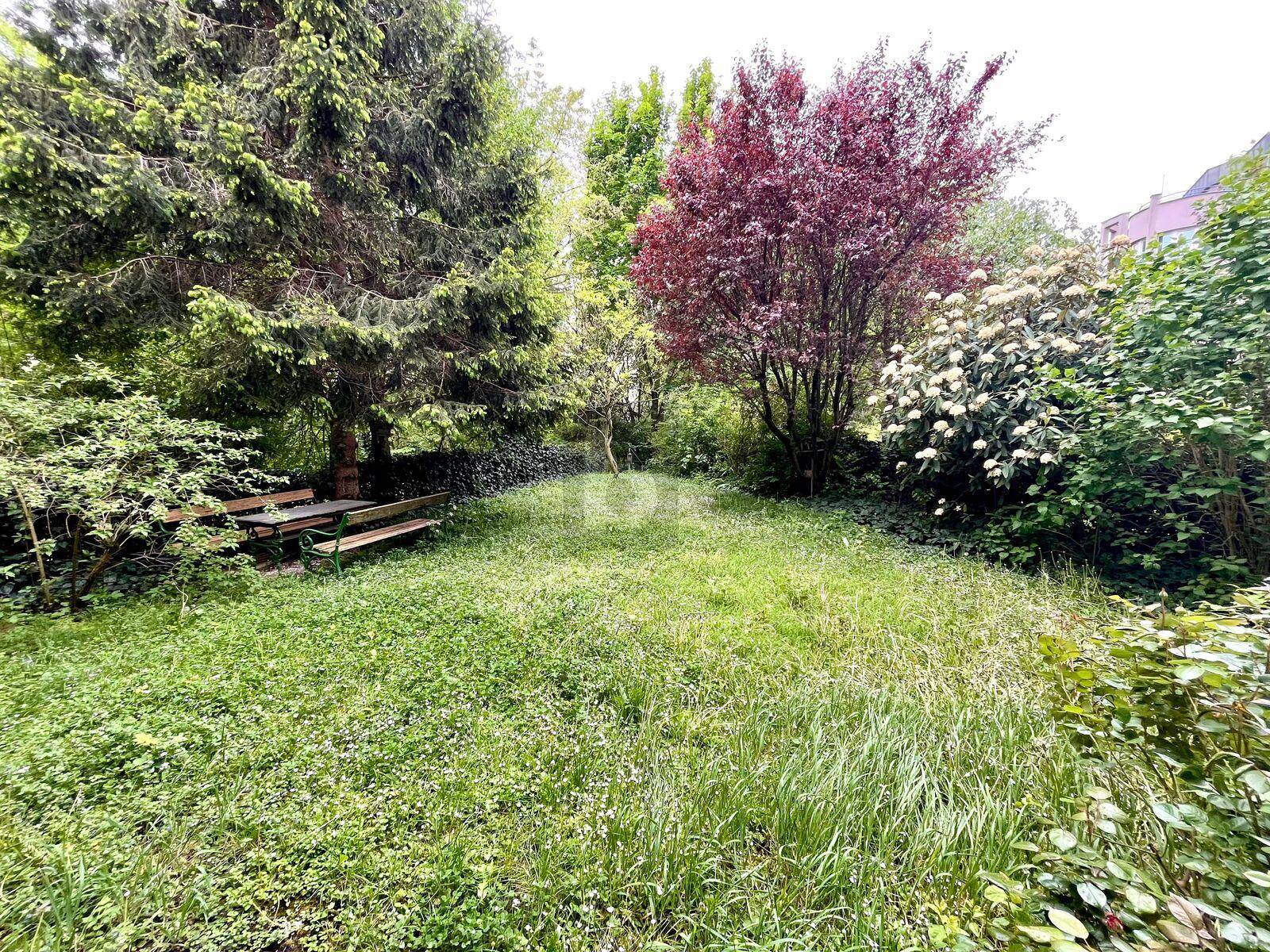 Naturbelassener Gartenbereich mit üppiger Vegetation, hohen Bäumen und einer rustikalen Sitzbank.