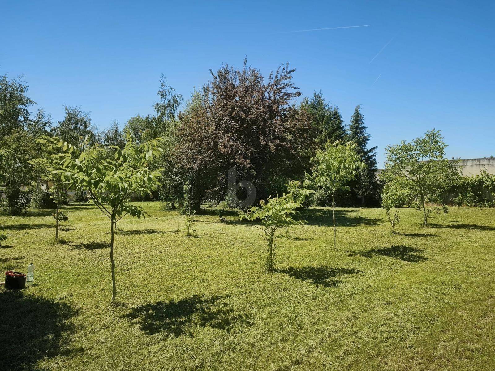 Weitläufiger Gartenbereich mit verschiedenen Bäumen und viel Grünfläche unter blauem Himmel.