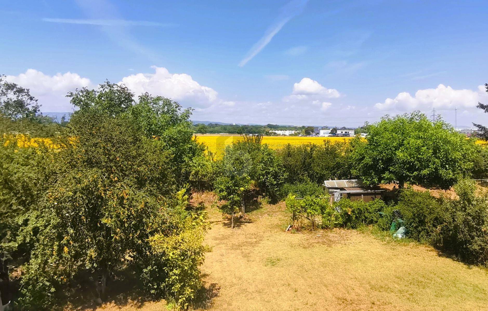 Weitläufiger Blick über grüne Felder und Bäume unter blauem Himmel.