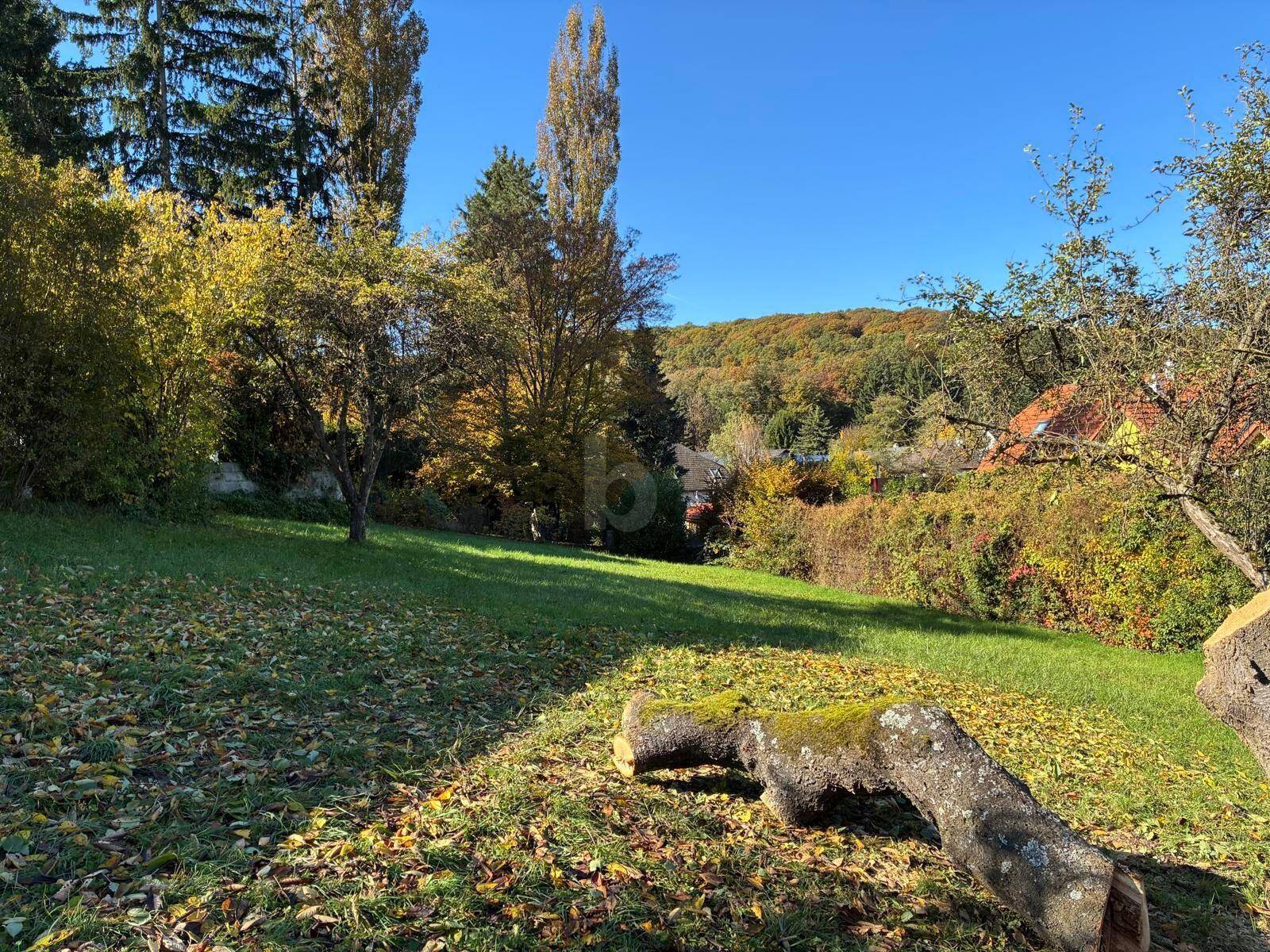 HERRLICH MIT BERG- UND WALDBLICK - Ansicht 2