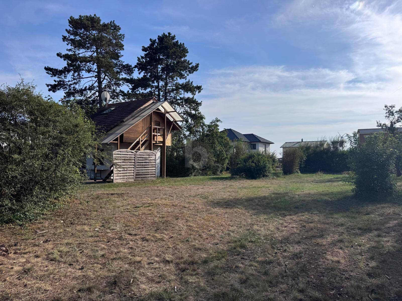 Grasbewachsenes Grundstück mit einem charmanten Holzhaus und hohen Bäumen unter klarem Himmel.