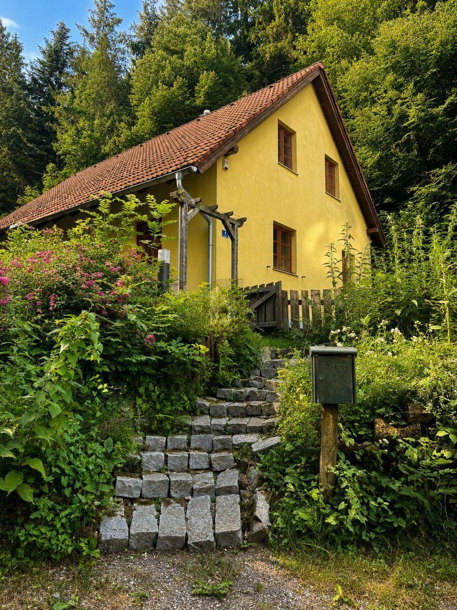 Gelbes Landhaus umgeben von üppiger Vegetation und Bäumen, mit Steintreppe zum Eingang.