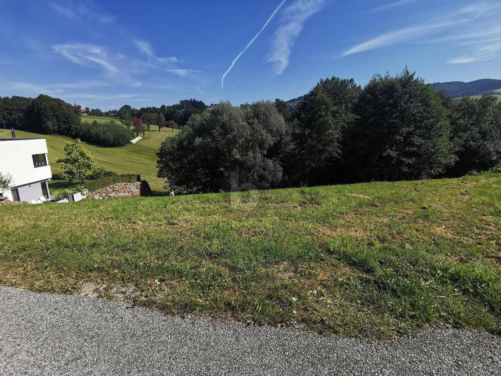 Weitläufige grüne Hügellandschaft mit Bäumen und einem modernen Haus am Rande unter blauem Himmel.