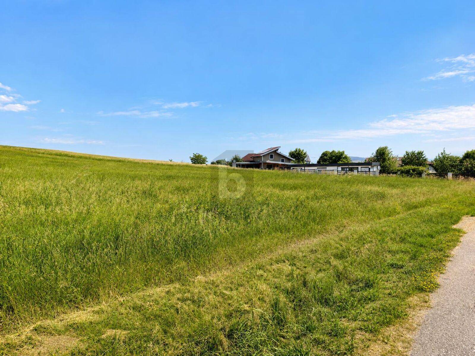 Weitläufiges grünes Feld mit einem Wohnhaus in der Ferne unter blauem Himmel.