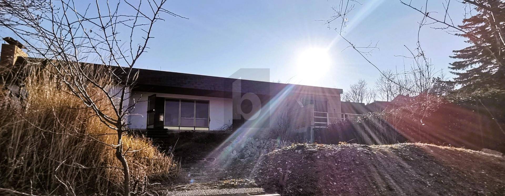 Außenansicht eines Hauses mit Flachdach, umgeben von kahlen Bäumen im Sonnenlicht.