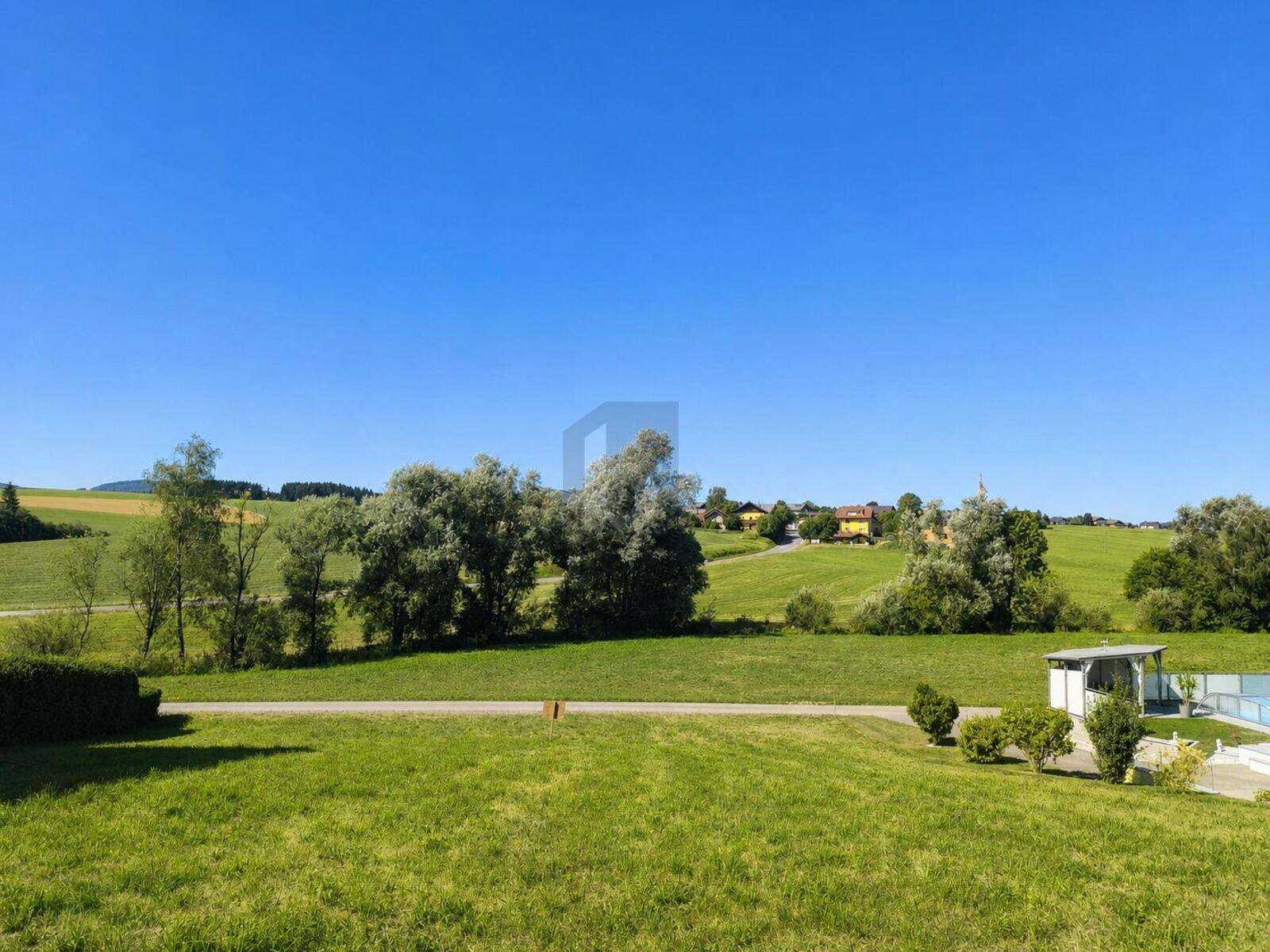Weitläufige grüne Landschaft mit sanften Hügeln und Bäumen unter strahlend blauem Himmel.