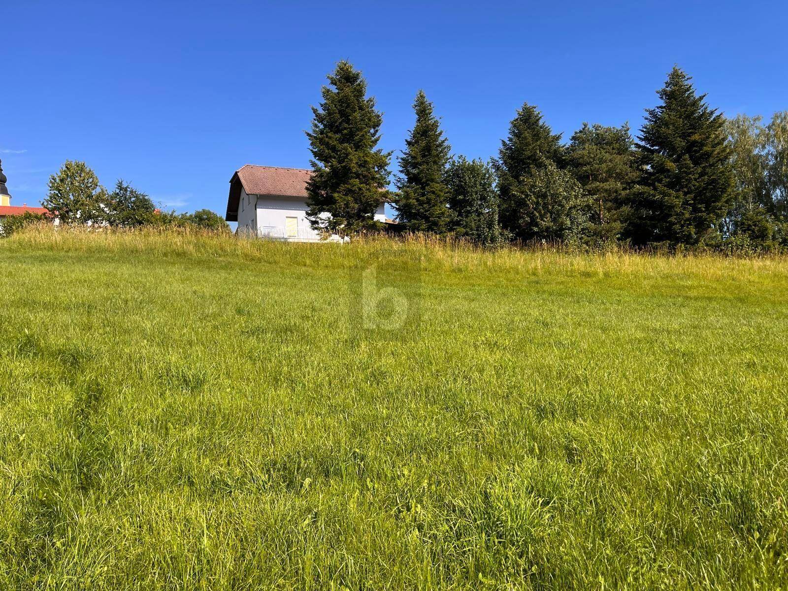 Grüne Wiese mit einem Haus und hohen Bäumen im Hintergrund, unter einem strahlend blauen Himmel.