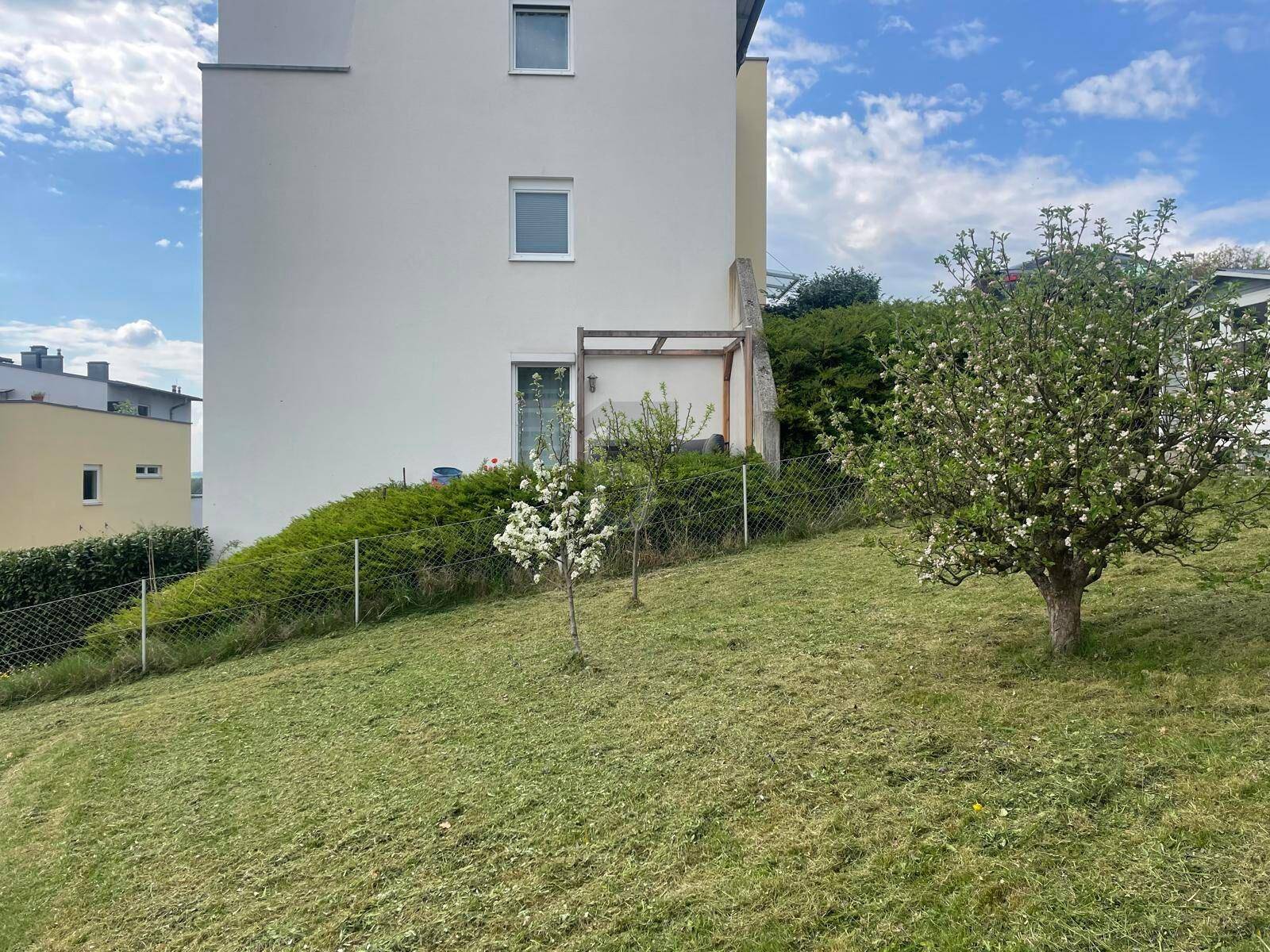 505 M² BAUGRUNDSTÜCK ? NÄHE LINZ - Ansicht 4