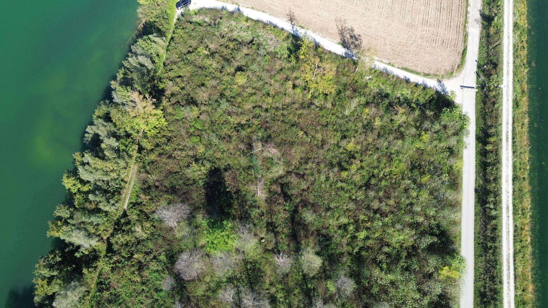 Nahaufnahme aus der Vogelperspektive eines bewachsenen Grundstücks, begrenzt von einem Wasserlauf und einem Feldweg.