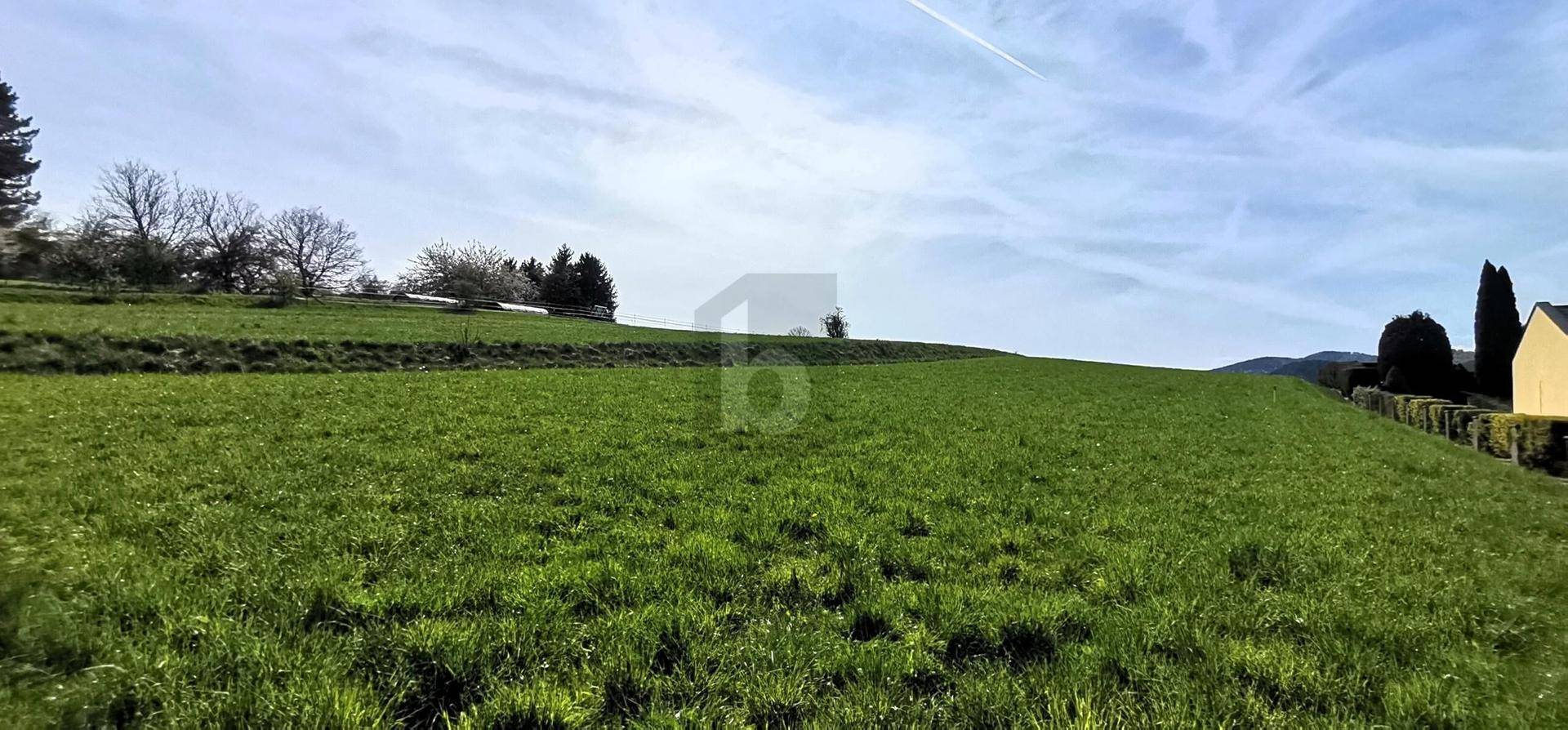 Weite grüne Wiese unter einem blauen Himmel mit einigen Bäumen und Hügeln am Horizont.