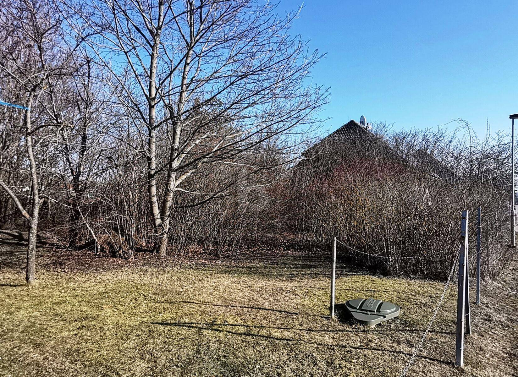 Unbebautes Grundstück mit Gras, kahlen Bäumen und Sträuchern, ideal für die Gartengestaltung.
