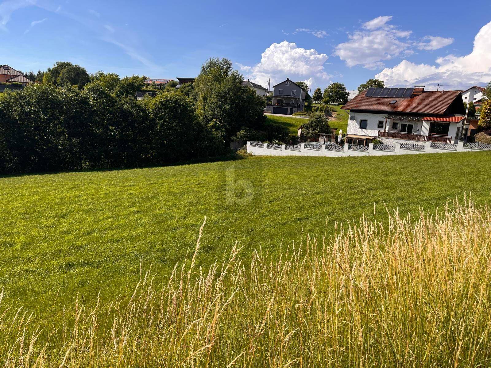 Sonnige grüne Wiese mit Blick auf Wohnhäuser und Bäume in der Ferne unter blauem Himmel.