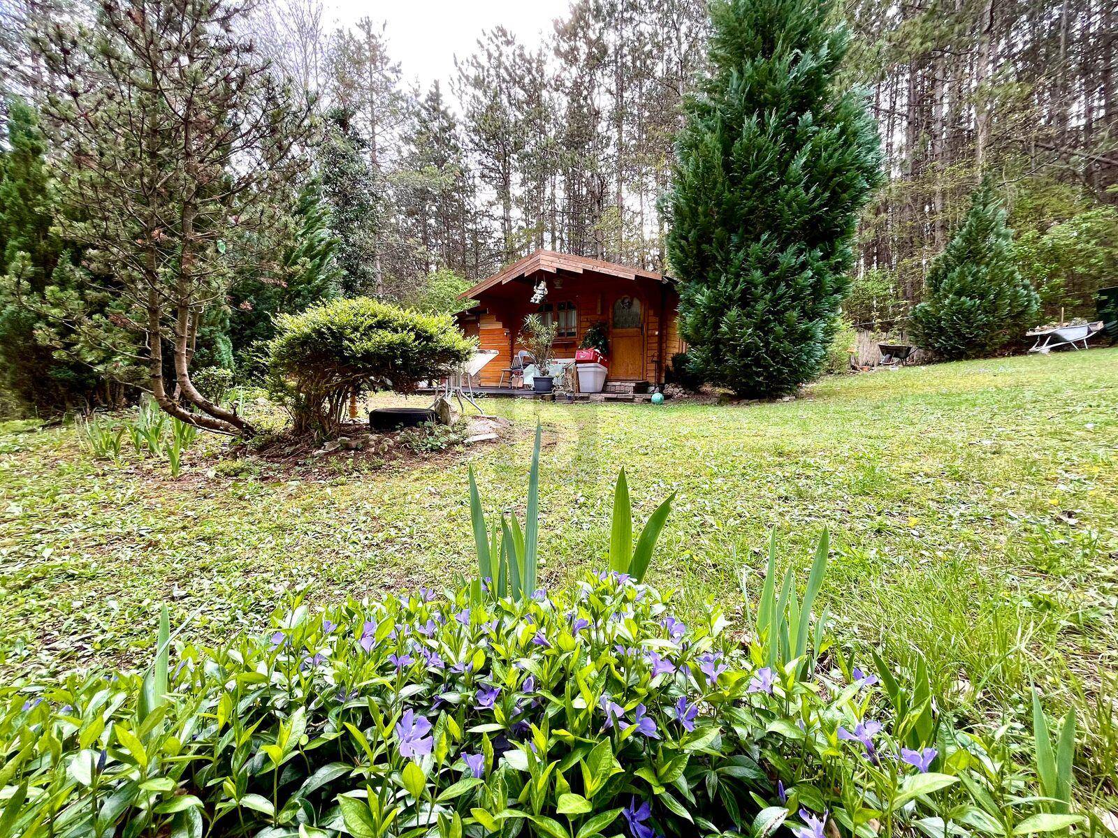 Idyllischer Gartenbereich mit einem charmanten Holzschuppen und blühenden Blumen im Vordergrund.