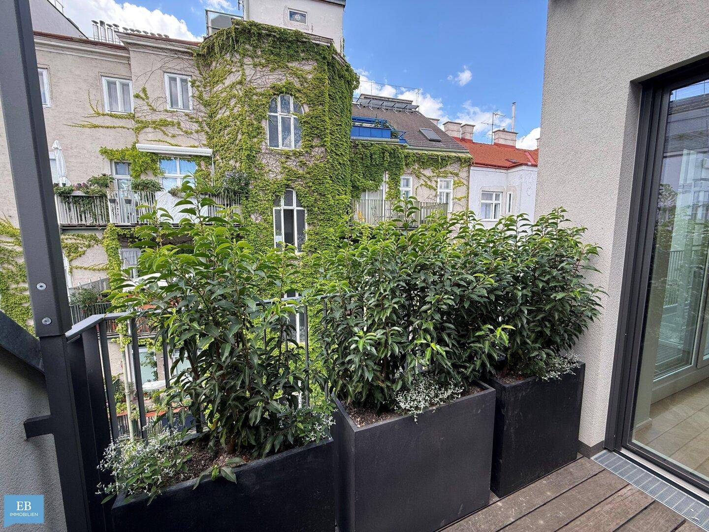 Balkon mit Holzboden und grünen Pflanzen in Kübeln, mit Blick auf begrünte Fassaden.