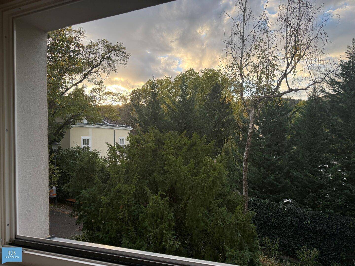 Blick aus dem Fenster auf die grüne Umgebung und den Himmel bei Sonnenuntergang.