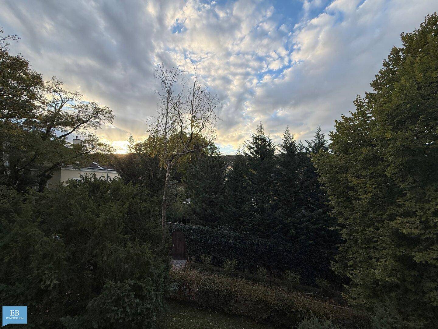 Panoramablick auf die grüne Landschaft mit Bäumen und einem bewölkten Himmel.