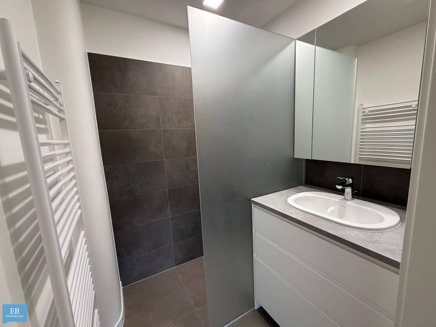 Modernes Badezimmer mit Waschtisch, Spiegelschrank und begehbarer Dusche mit dunklen Fliesen.