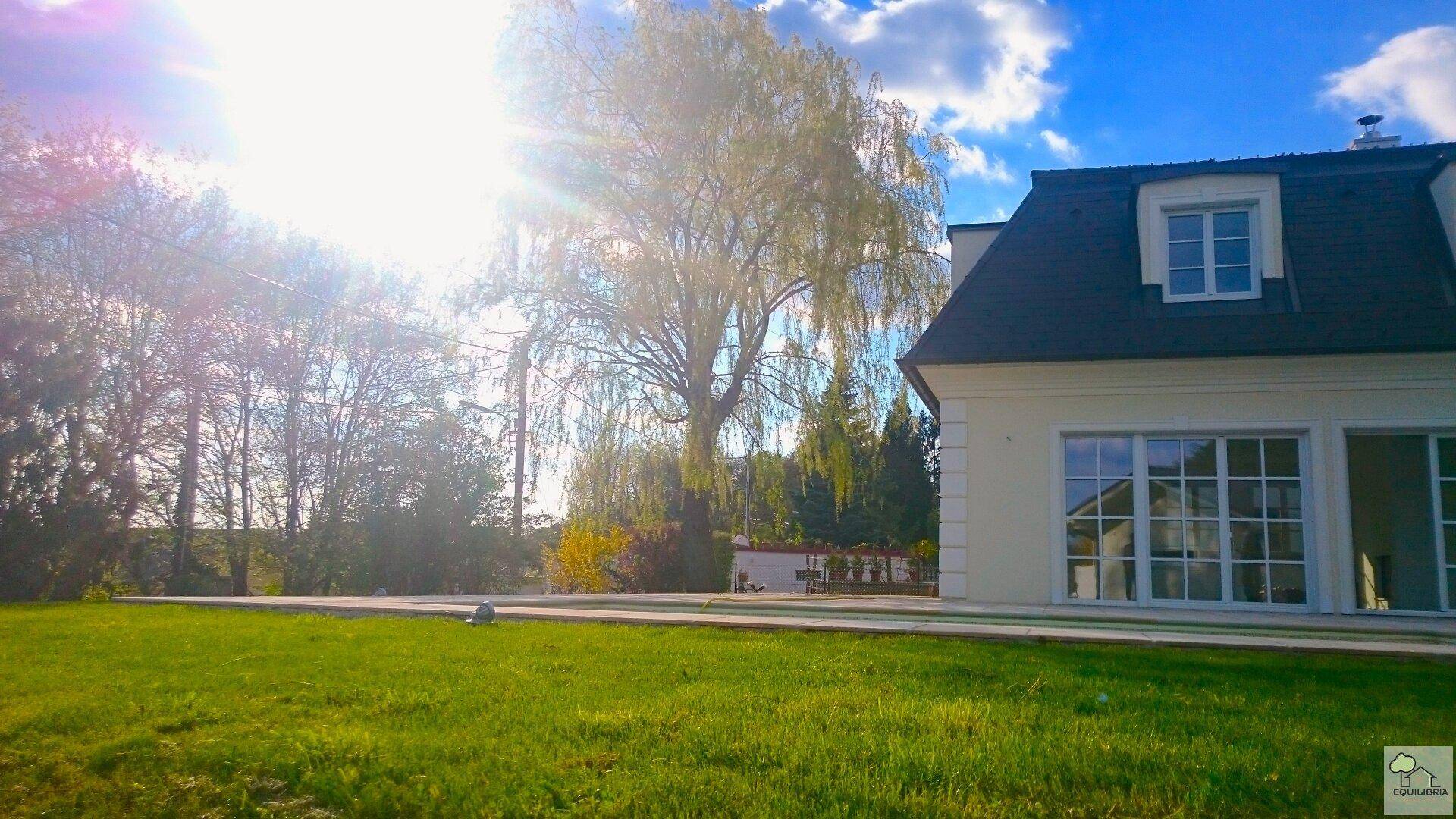 Weitläufiger grüner Gartenbereich mit altem Baum und Blick auf die moderne Villa.