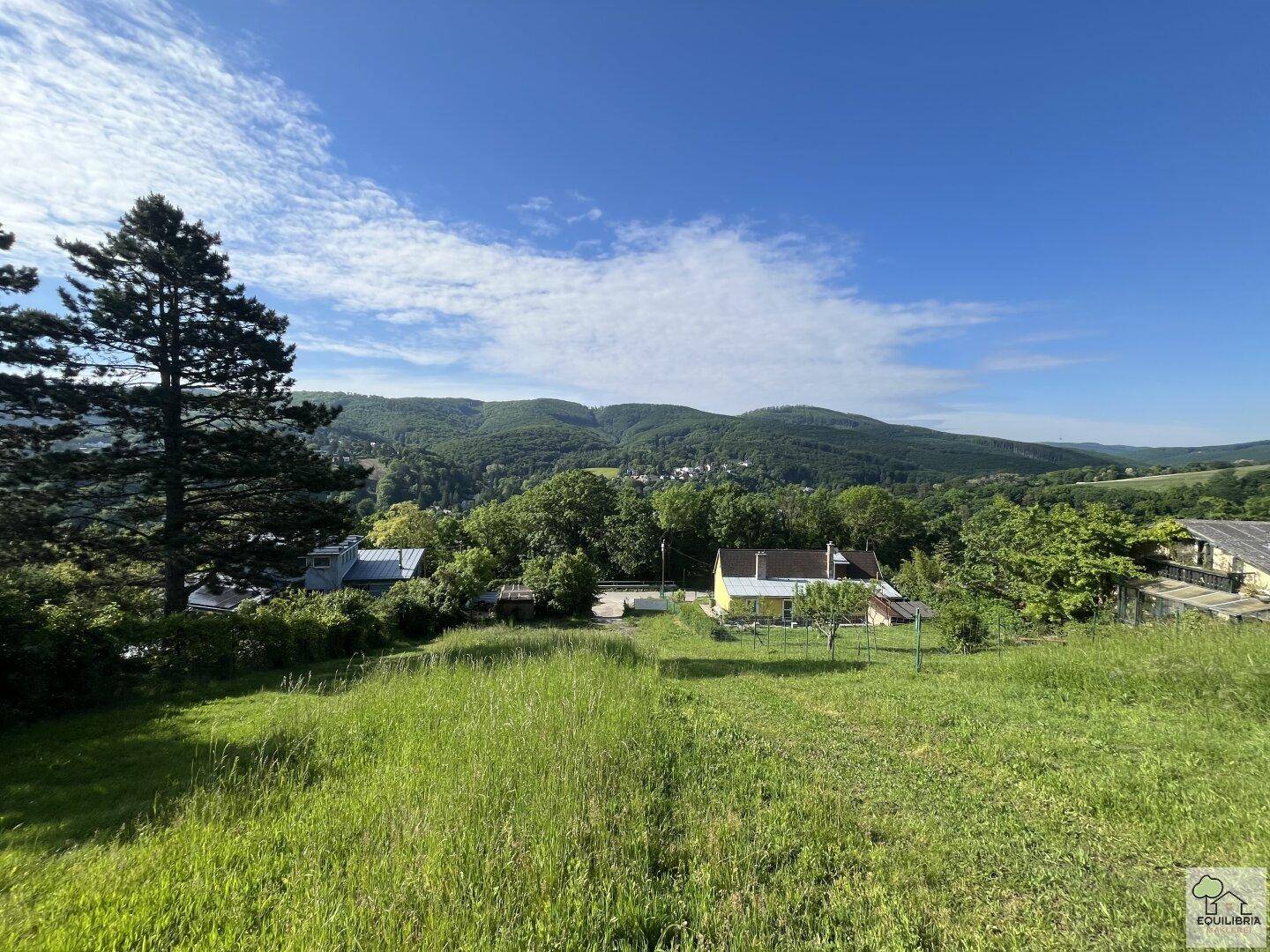 Panoramablick über eine weite grüne Wiese mit Häusern und bewaldeten Hügeln im Hintergrund.