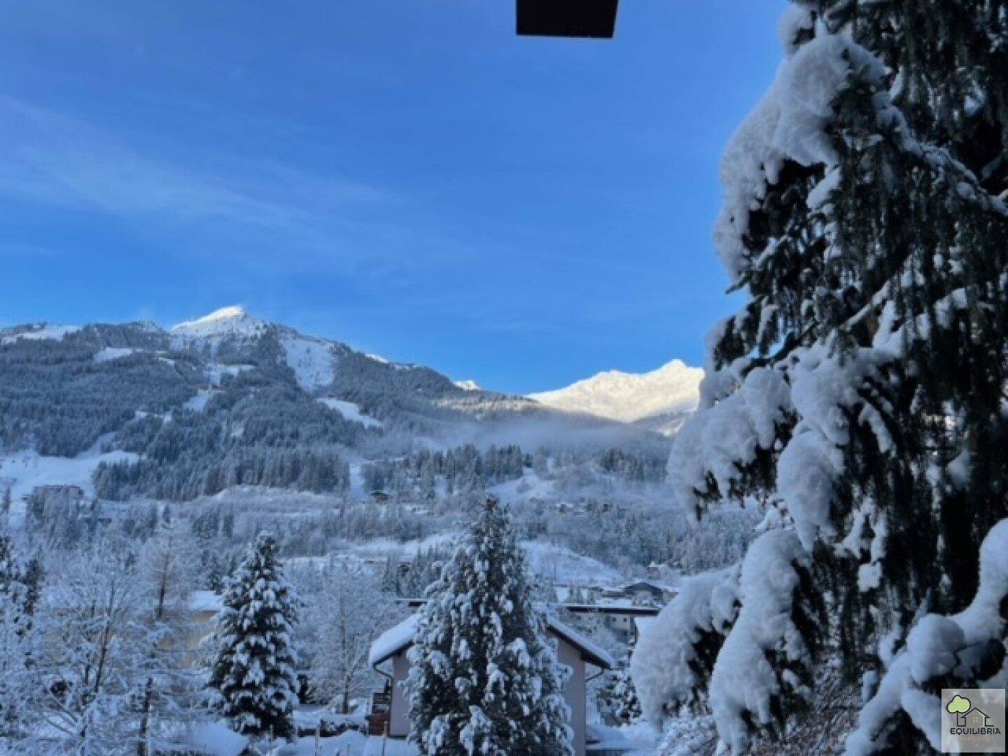 Winterliche Berglandschaft mit schneebedeckten Bäumen und Gipfeln unter einem klaren blauen Himmel.