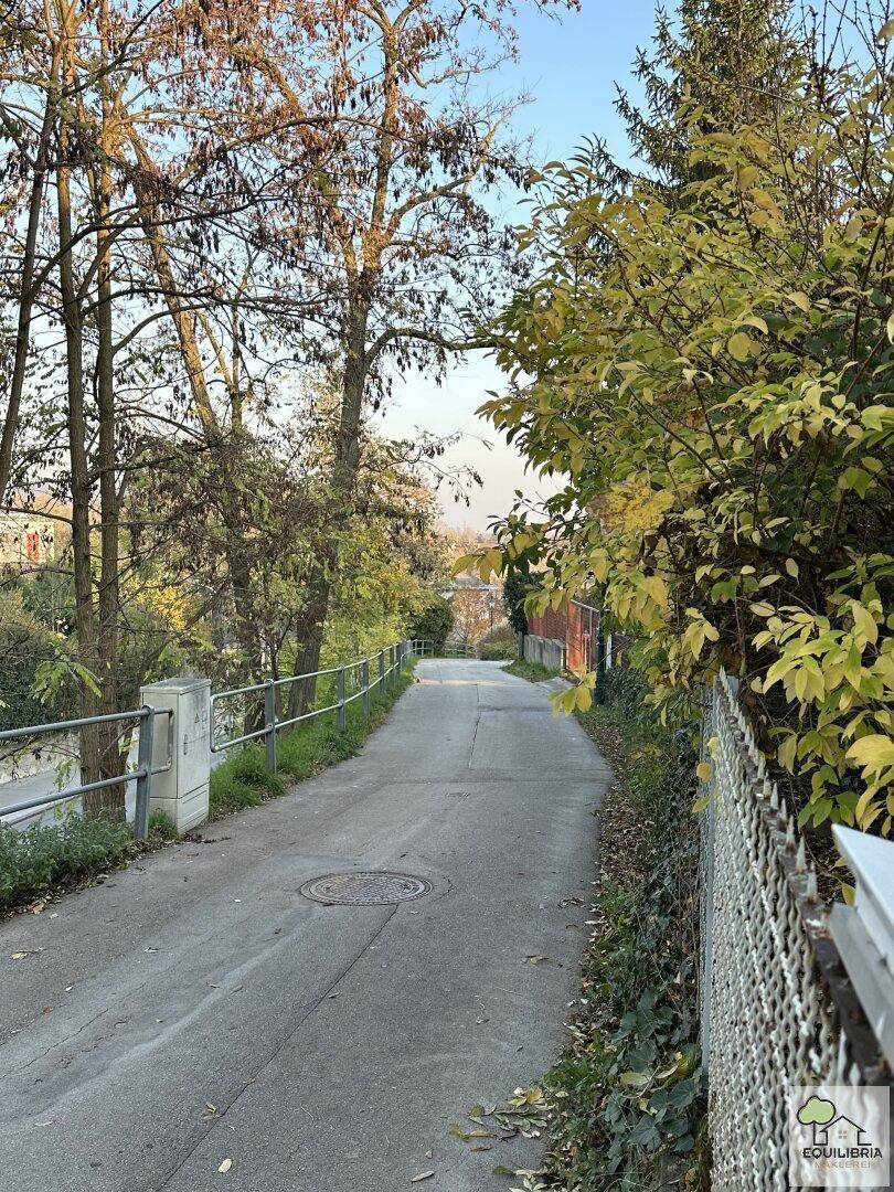 Abschüssige Straße mit Bäumen und einem Geländer, die in die Ferne führt.