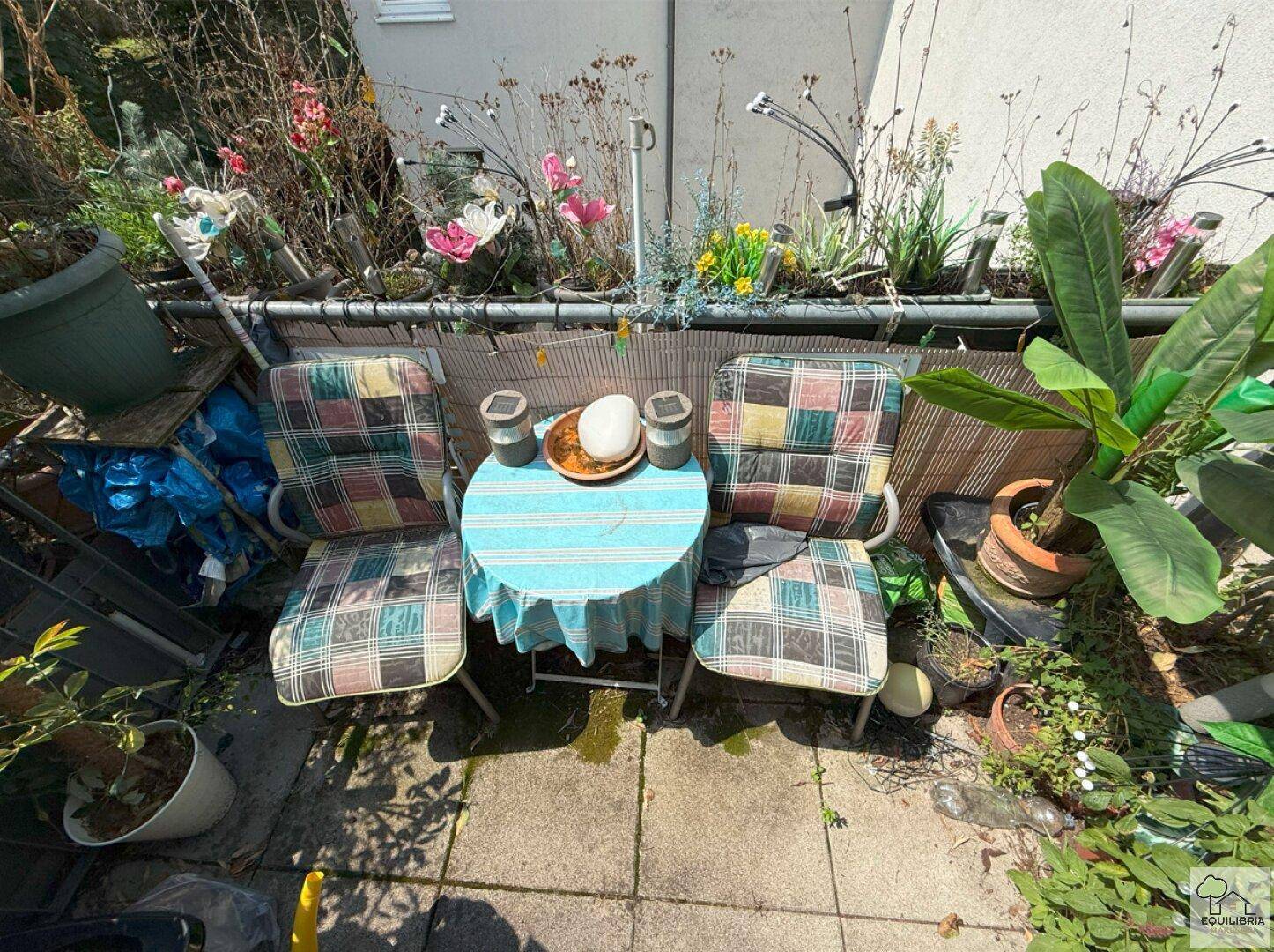 Kleiner, bepflanzter Gartenbereich mit Tisch und Stühlen für entspannte Stunden im Freien.