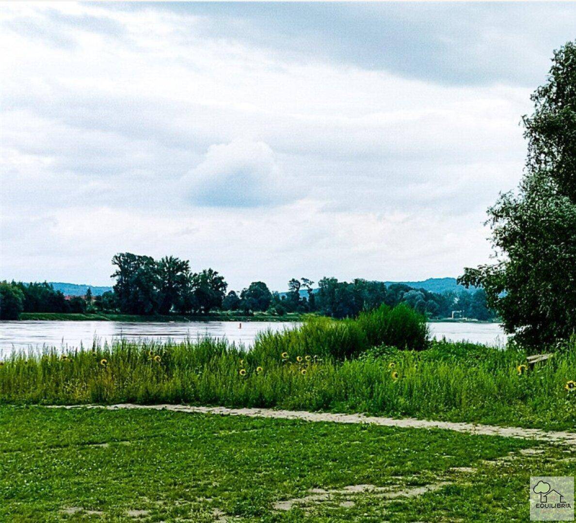 Malerische Flusslandschaft mit üppigem Grün und bewölktem Himmel.