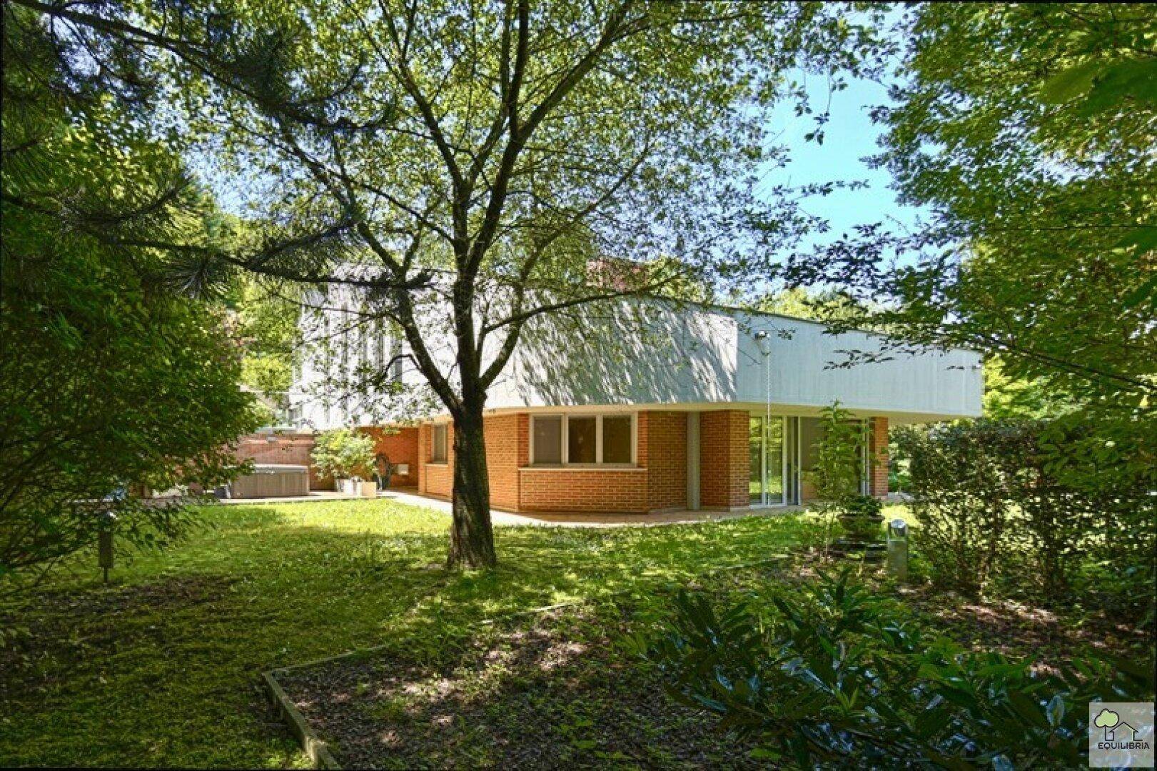 Großzügiger Gartenbereich mit altem Baumbestand und Blick auf die moderne Architektur des Hauses.