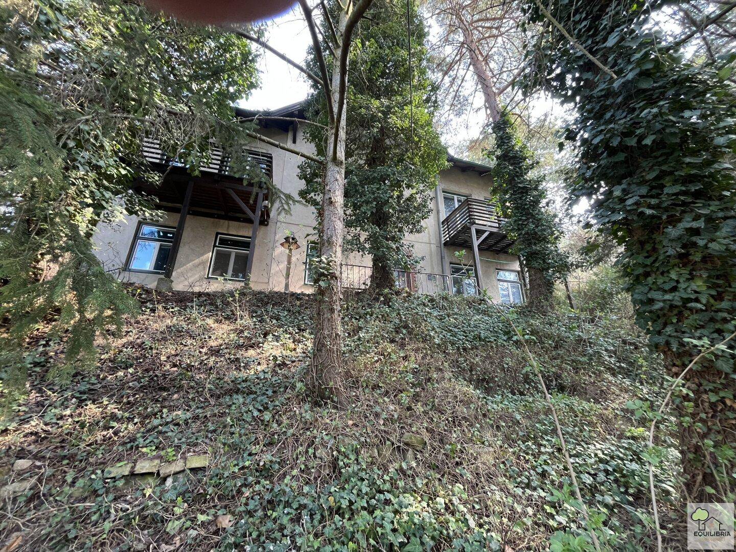 Rückansicht eines Hauses mit Balkonen, teilweise verdeckt von dichtem Bewuchs und Bäumen auf einem Hanggrundstück.