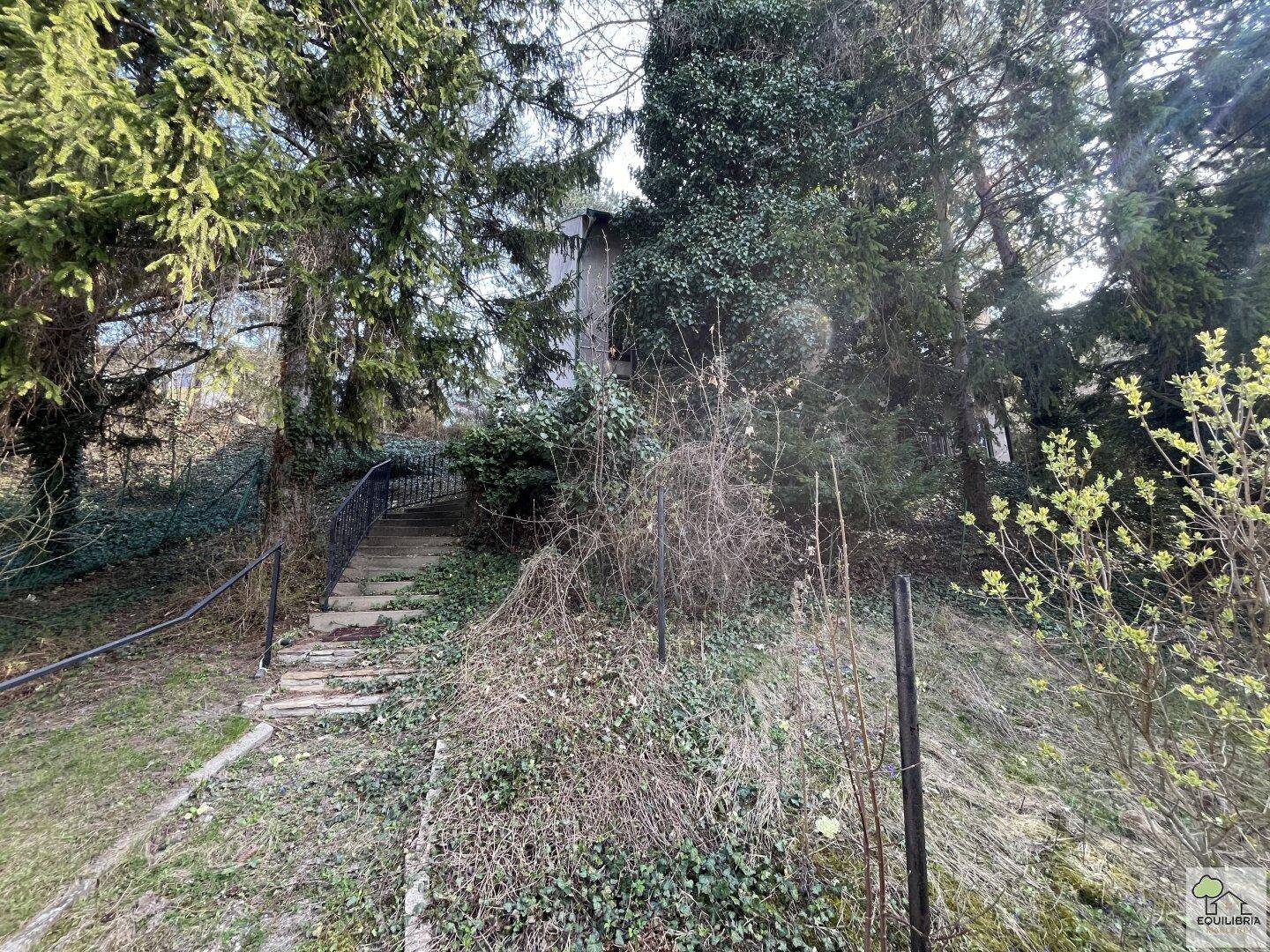 Steiler Gartenweg mit alten Steinstufen, umgeben von wildem Grün und hohen Bäumen.