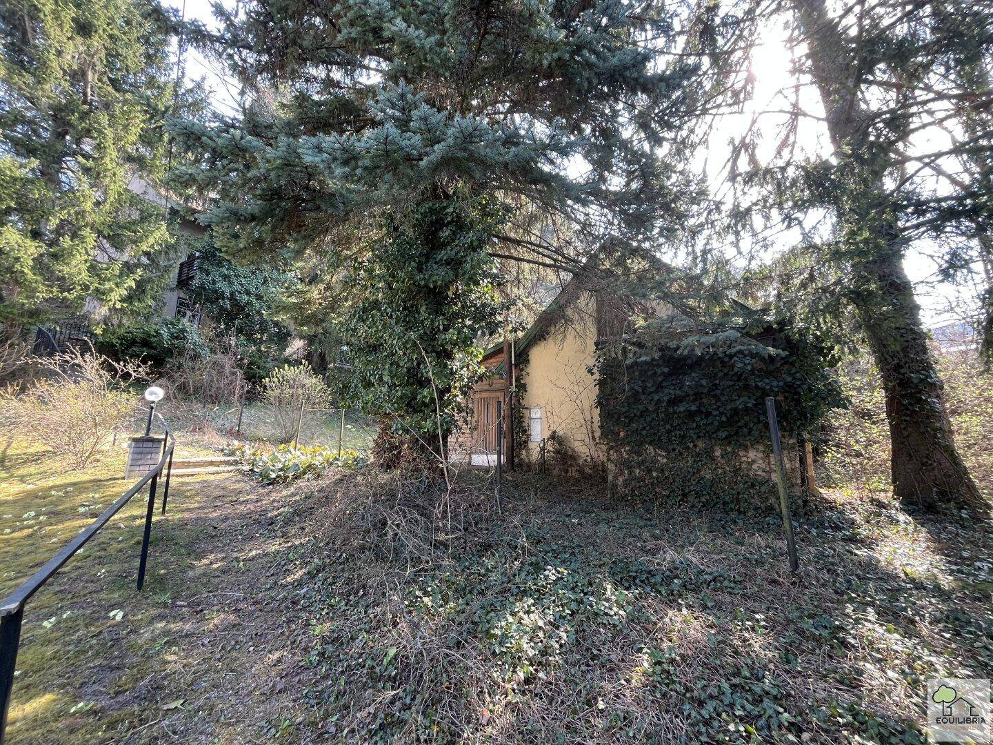 Kleines Nebengebäude oder Gartenhaus, umgeben von Bäumen und Sträuchern in einem sonnigen Garten.